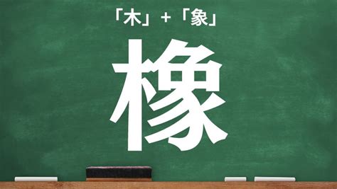 木 象|木へんに象で「橡」の読み方とは？使い方など簡単に。